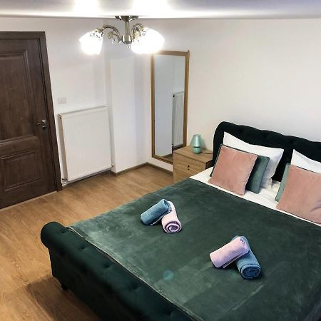 Ultra Central Apartment, Free Parking Oradea - Stray Cats Екстериор снимка
